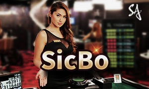 bet999 bac bo cassino Jogue online